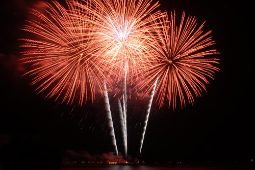 fireworks_web1