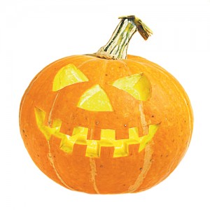 Pumpkin_web
