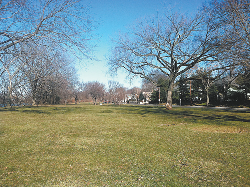 Photo courtesy of Michael Neglia About half an acre of this riverside parkland would be used for the dog park.