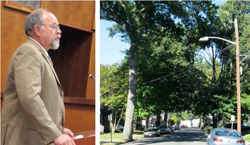 Photos by Ron Leir Arborist John Linson gave report on huge trees in town’s Manor section, such as these stately oaks on Madison St.