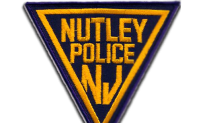 nutleypatch-clr