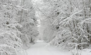 snow