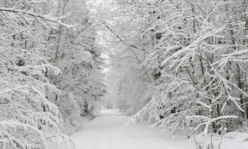snow