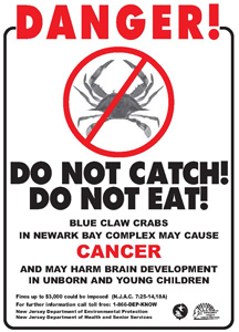 crabs_web
