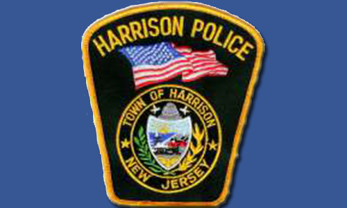 harrison-shield-500x300